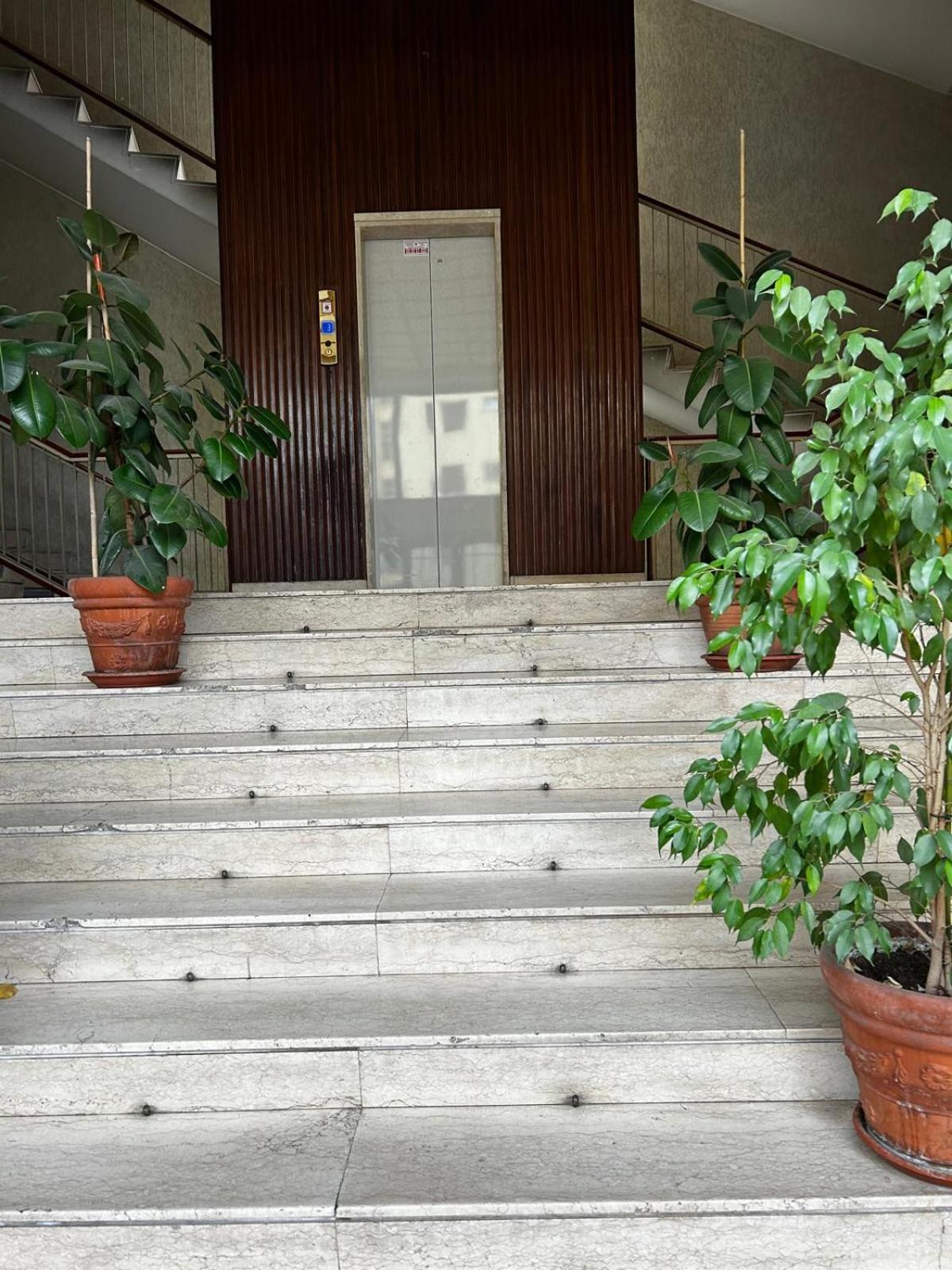 Bam Bam Tiburtina Guesthouse 로마 외부 사진